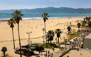 visit venice beach california venice in california 380x240